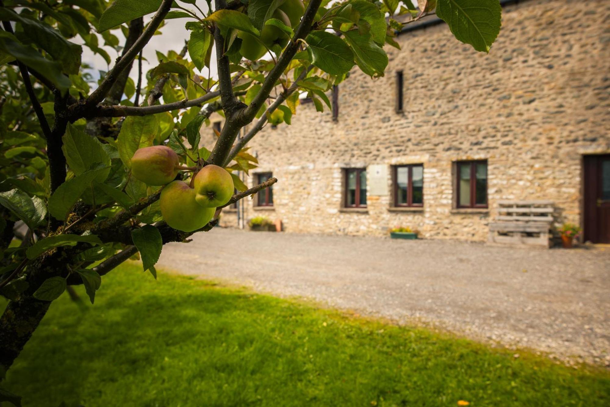 Howgills Barn Villa Sedbergh Buitenkant foto