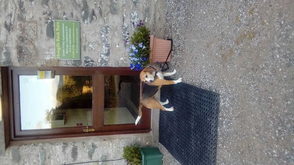 Howgills Barn Villa Sedbergh Buitenkant foto